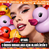 مداد لب حجمدهنده نیکس